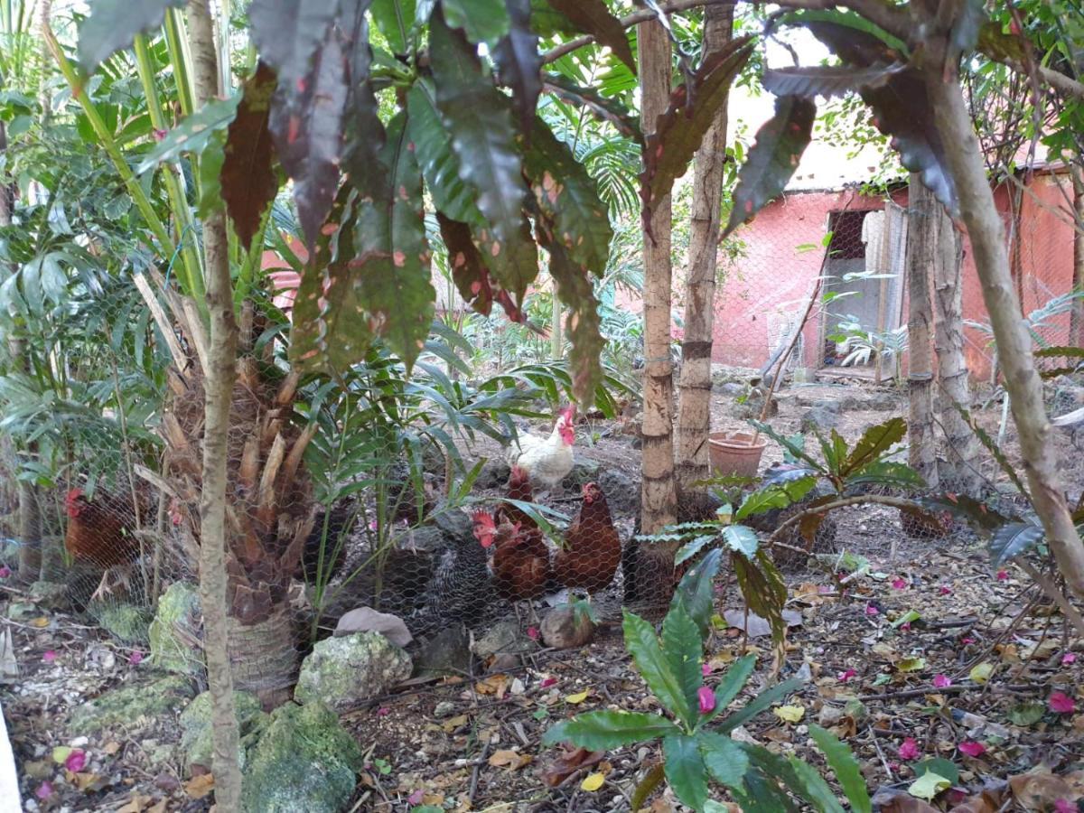 Casa Don Diego Tulum Ngoại thất bức ảnh