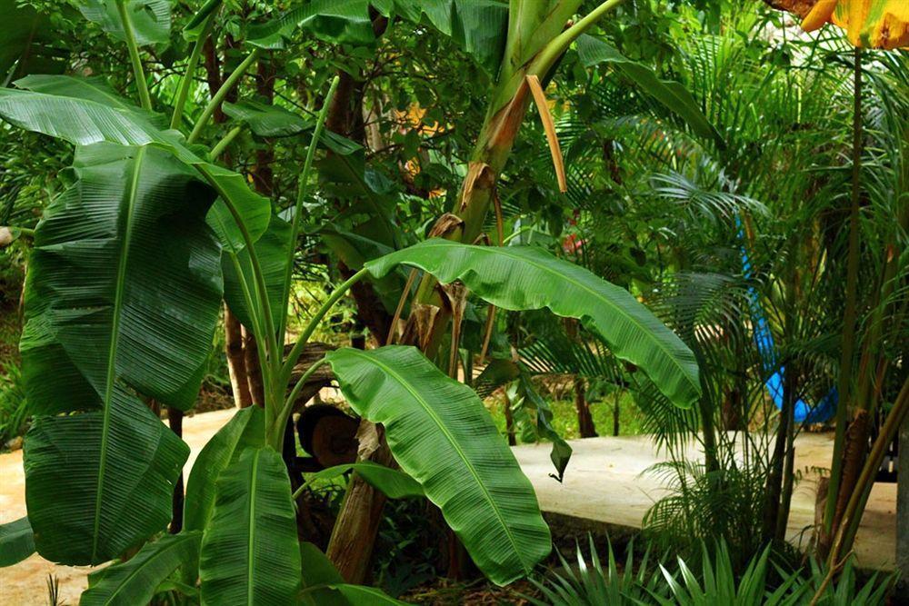 Casa Don Diego Tulum Ngoại thất bức ảnh
